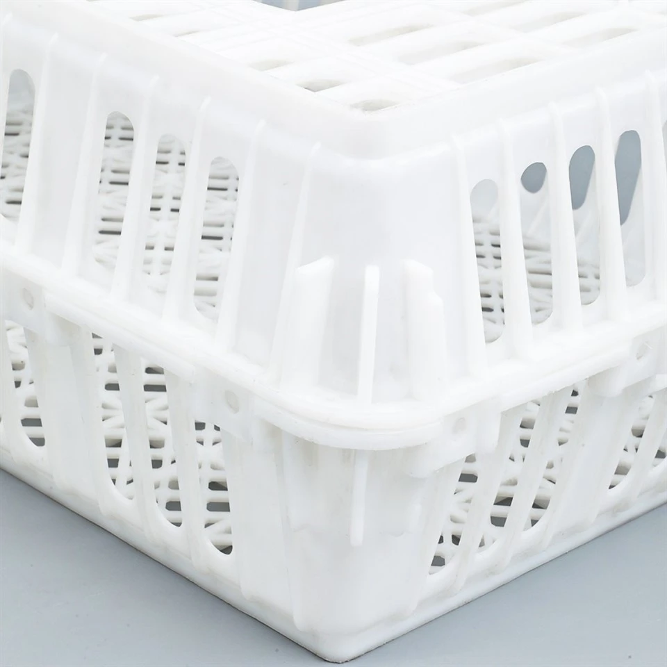 Live Bird Plastic Crate