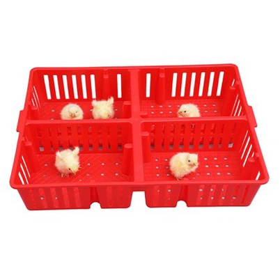 Kükenbox aus Kunststoff mit 4 Fächern