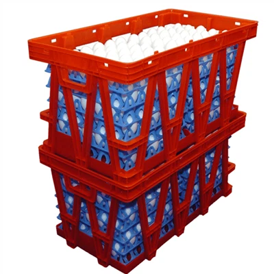 Eiertransportbox aus Kunststoff